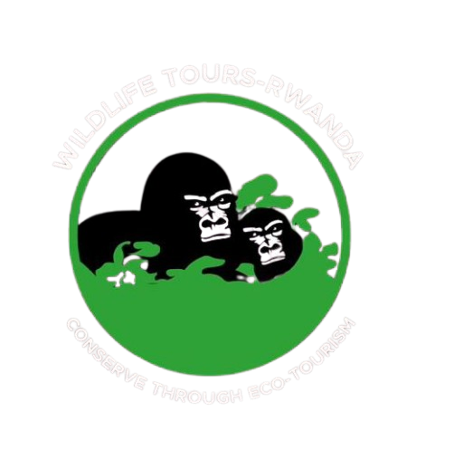 Wildlife Tours-Rwanda